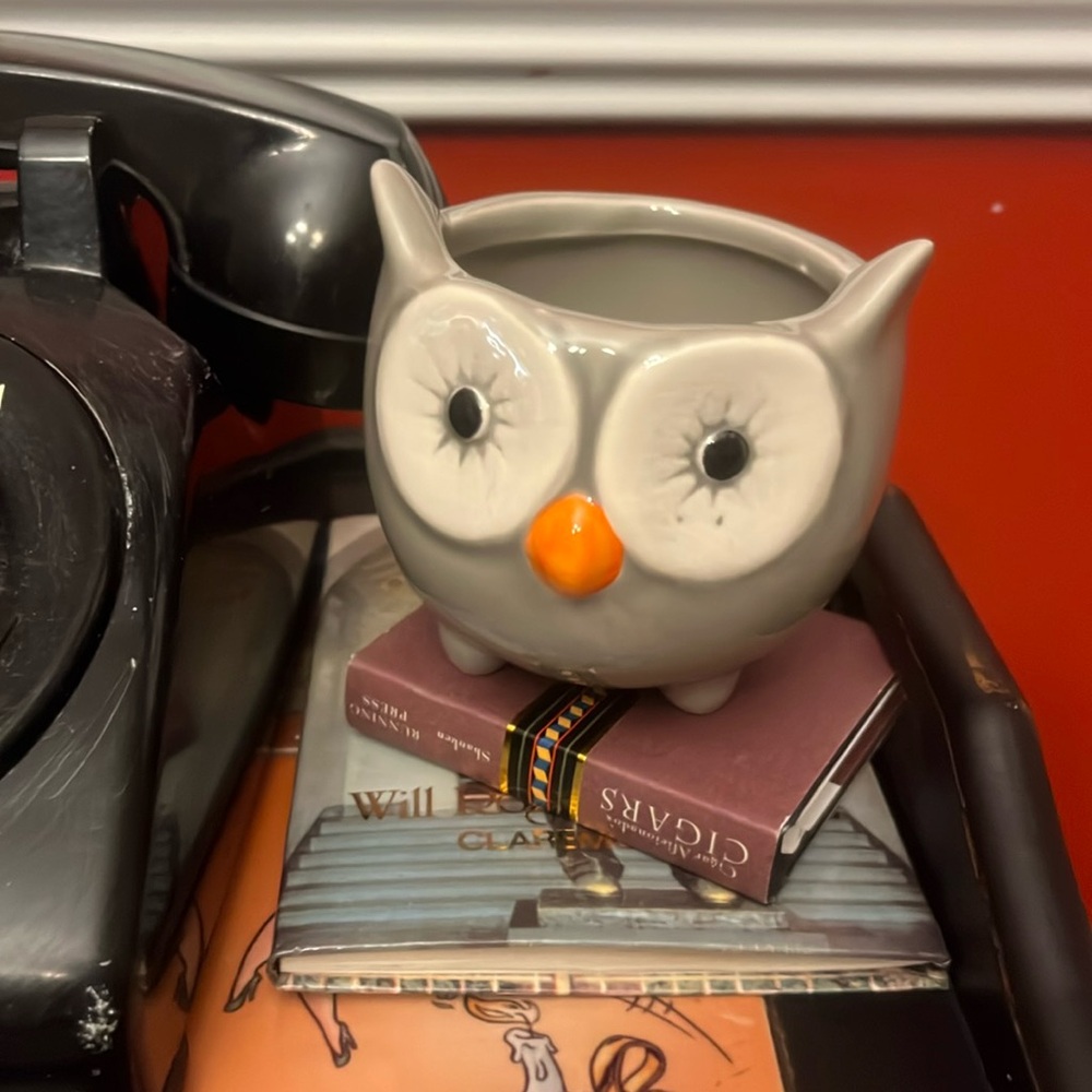 Owl Pot